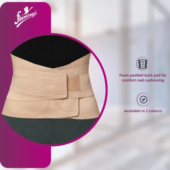 Flamingo Corset Belt - Image 2