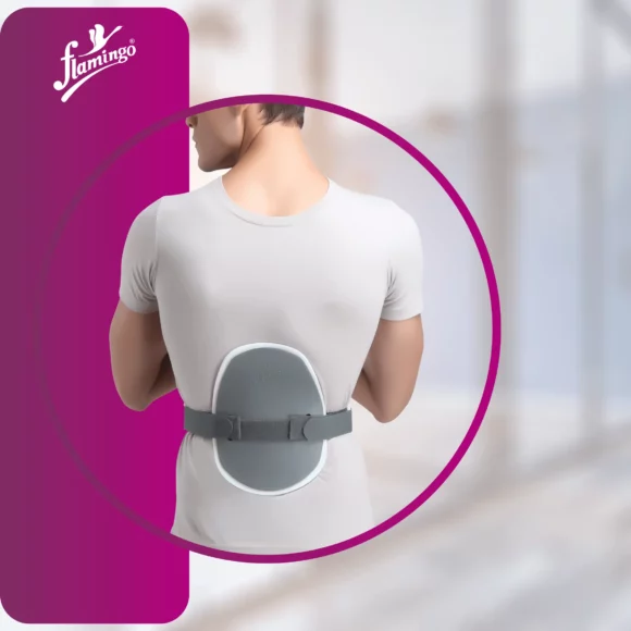 Flamingo Hyper Extension Brace - Image 2