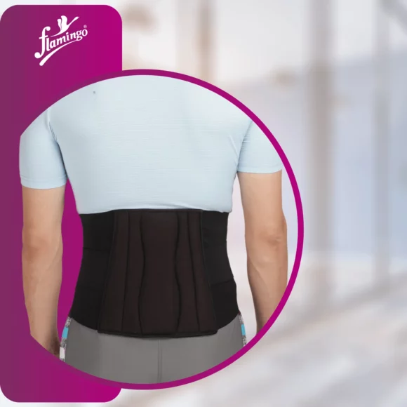 Flamingo Lumber Sacral Belt - Image 3